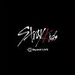 Stray Kids APK APK